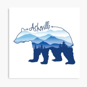Asheville Blue Ridge Mountains - Black Bear