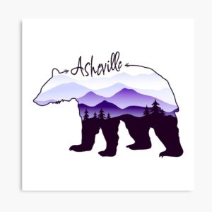 Asheville Blue Ridge Mountains - Black Bear - Purple